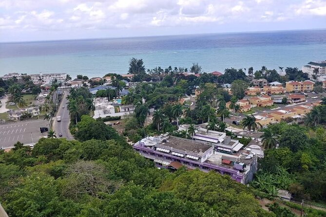 [PRIVATE] Montego Bay Highlights Tour - Key Highlights You Will Feel Immediately