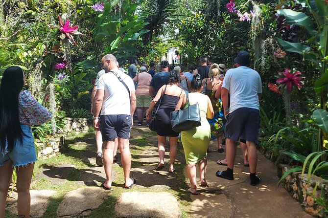 Private Nine Mile Tour from Montego Bay - Should you book this Nine Mile private tour?