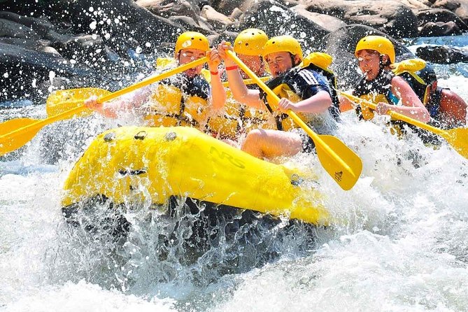 Private Rio Bueno River Adventure from Montego Bay - Key things to know before you go