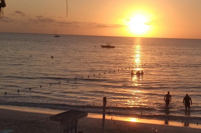 Private Round Trip from Sangster International Airport to Negril - What Makes Dreamline’s Service Feel Different
