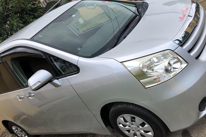 Private Round-trip MBJ Airport Transfer to Montego Bay Hotels - Tips to Make Your Pickup Go Smoothly
