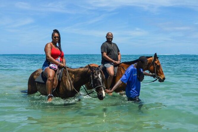 Private Tour from Montego Bay to Horse Back Riding and Bluehole - Price and Value: What $200 Per Person Buys You