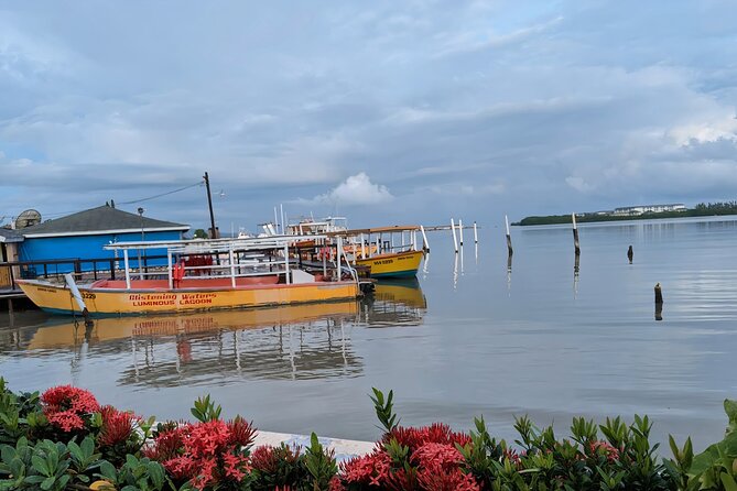 Private Tour in the Glistening Waters from Montego Bay - Do You Need to Swim? A Practical Answer for Families and Couples