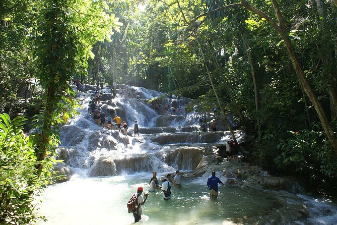 Private Tour to Dunns River and Horseback Riding with Local Guide - Key Highlights at a Glance