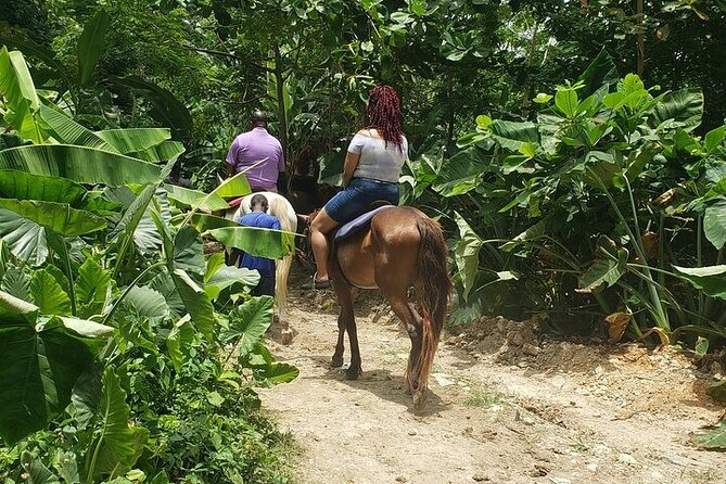 Private Tour to Dunns River and Horseback Riding with Local Guide - Dunns River Falls: The Famous Climb, Handled With a Local Guide