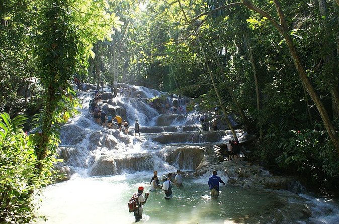 Private Tour to Dunns River and Horseback Riding with Local Guide - Green and Carado as Guides: Local Knowledge Plus Clear Safety