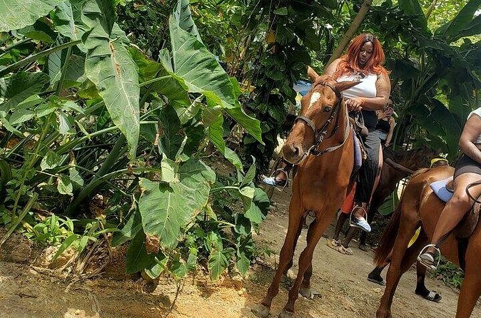 Private Tour to Dunns River and Horseback Riding with Local Guide - Value for $115: What’s Included, What You Still Need to Budget