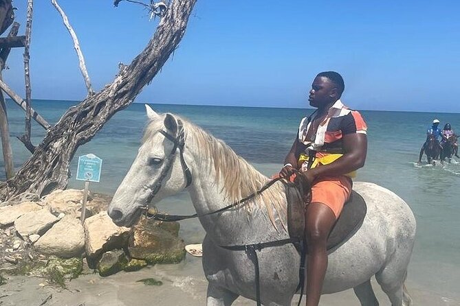 Private Tour to Dunns River and Horseback Riding with Local Guide - Who Should Book This Dunns River and Horseback Tour