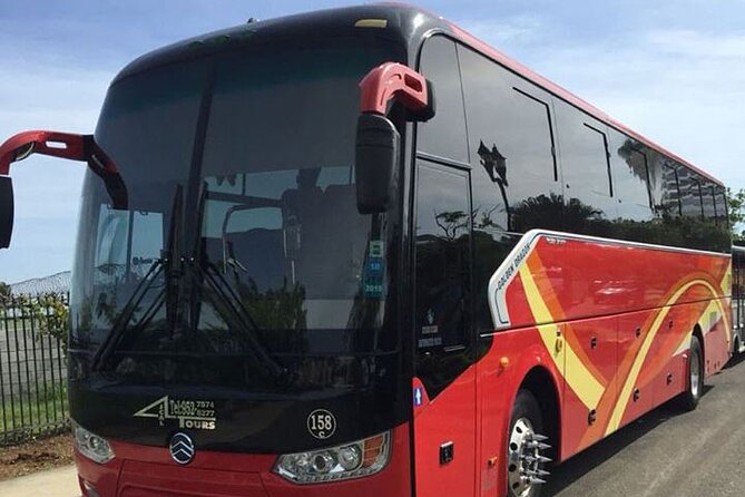 Private Transfer from Montego Bay Airport - MBJ Arrival Without the Taxi Line