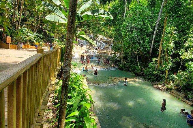 Private Transfer from Montego Bay to Dunns River Falls - Private Montego Bay to Dunn’s River Falls Transfer: What You Actually Get