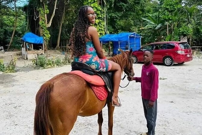 Private Transfer from Montego Bay to Dunns River Falls - Who This Montego Bay to Dunn’s River Falls Transfer Fits Best