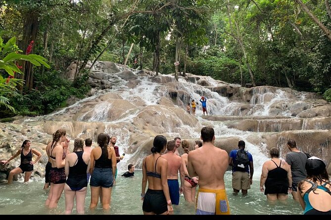 Private Transportation from Montego Bay to Mystic Mountain and Dunn's River Fall - Key highlights to know before you go