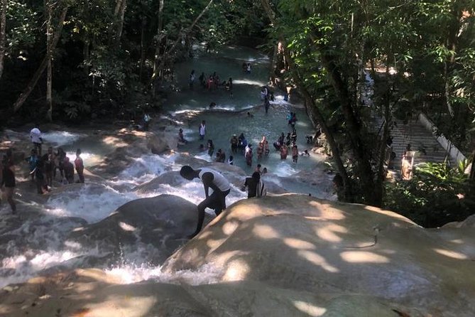 Private Transportation from Montego Bay to Mystic Mountain and Dunn's River Fall - Why this private Montego Bay transfer makes sense for a short trip