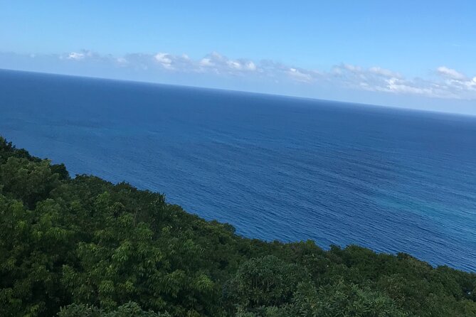 Private Transportation from Montego Bay to Mystic Mountain and Dunn's River Fall - Who this is best for (and who should consider another plan)