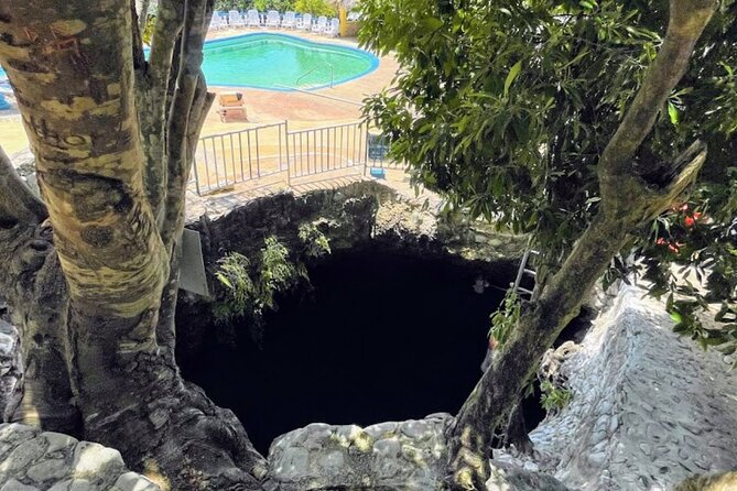 Private Trip to Blue Hole Mineral Springs, Negril & Ricks Café - Blue Hole Mineral Spring: clay scrub and your swim window