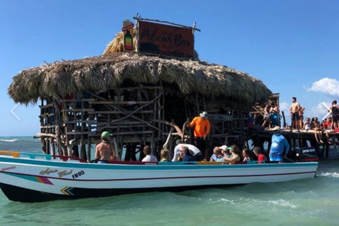[PRIVATE] YS Falls, Black River, Pelican Bar - Entrance & Lunch - Why This South-Coast Route Works So Well