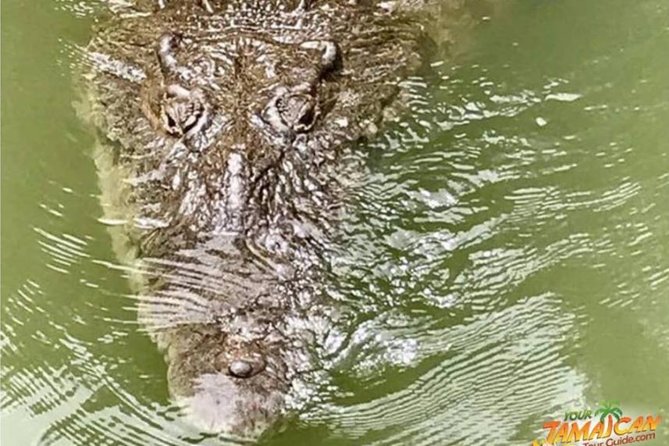 [PRIVATE] YS Falls, Black River, Pelican Bar - Entrance & Lunch - Lunch and Drinks: Planning Your Energy for a 6 to 8 Hour Day