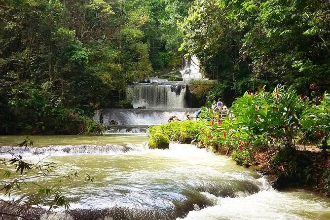 [PRIVATE] YS Falls, Black River, Pelican Bar - Entrance & Lunch - Guides Matter Here, Especially When the Day Feels Fast