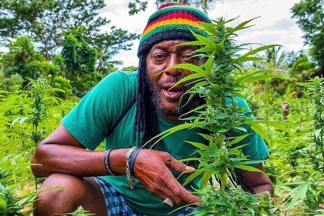 Rasta Safari Atv Experience and Rick's Cafe Private Tour - Key things to know before you go