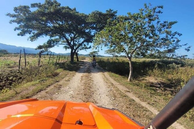 Rasta Safari Atv Experience and Rick's Cafe Private Tour - Ricks Cafe private sunset viewing: divers, reggae, and cliff energy