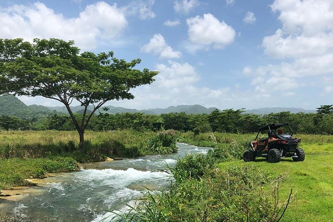 Rastafari Cultural ATV Community Experience from Montego Bay - First stop: Roaring River coffee, short hike, and a real community welcome