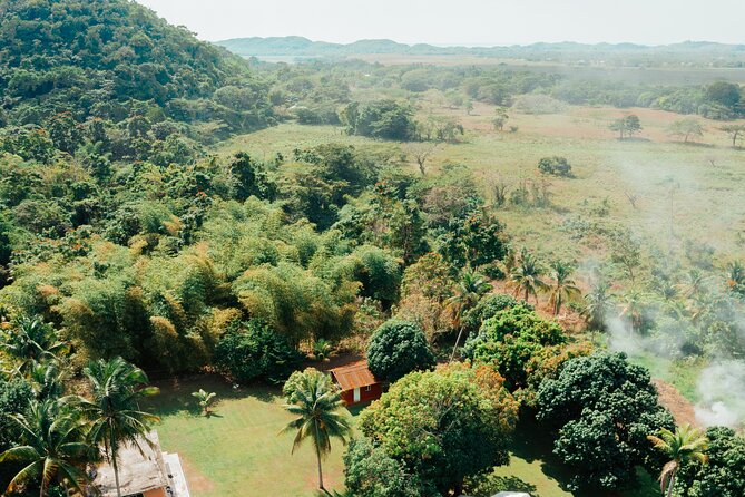 Rastafari Cultural ATV Community Experience from Montego Bay - Logistics that affect your comfort: weather, group size, and travel time