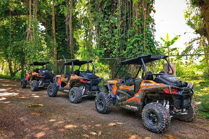 Rastafari Cultural ATV Community Experience from Montego Bay - The swim stop at Roaring River: natural water time, not an add-on