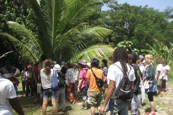 Rastafari Indigenous Village Tour - Crossing to the Village: What to Wear and Why It Matters