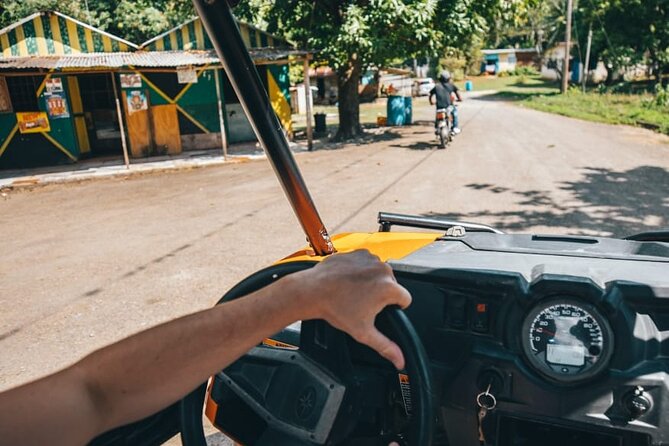 Rastasafari ATV Experience - Plants, herbs, ganja field discovery, and fruit sampling