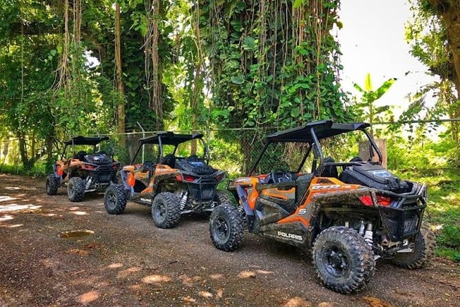 Rastasafari Experience ATV Adventure and Local Day Out - ATV ride plus real introductions, not a quick drive-by
