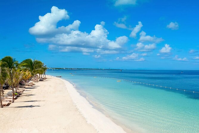 Rick s Café and Seven Mile Beach Private Tour Negril Jamaica - Who this tour fits best in real life