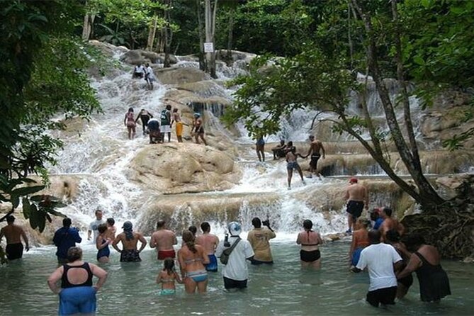 Rio Nuevo Bamboo River Rafting & Dunn's River Falls - Rio Nuevo Bamboo Rafting: calm water, skilled captains, and rainforest quiet