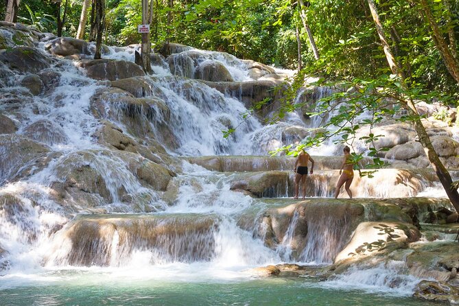 Rio Nuevo Bamboo River Rafting & Dunn's River Falls - Mosquitoes on the raft, and how to handle the water reality
