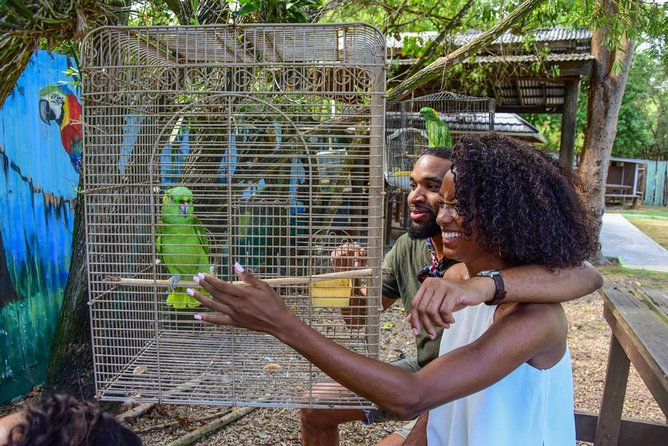Rockland Bird Sanctuary plus Montego Bay Highlights & Shopping Private Tour - Quick highlights you will actually care about