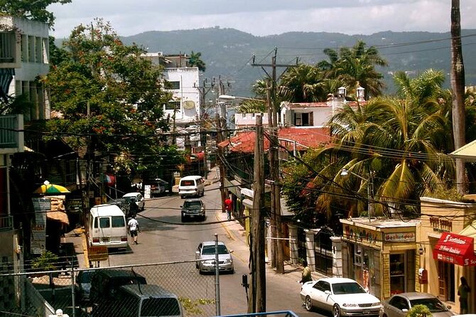Rockland Bird Sanctuary plus Montego Bay Highlights & Shopping Private Tour - Who this tour is perfect for, and who should think twice