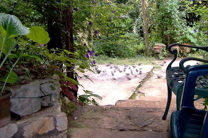 Rockland Bird Sanctuary plus Montego Bay Highlights & Shopping Private Tour - Price and value: what $123 per person buys you