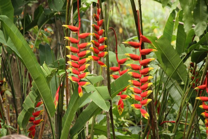 Rockland Bird Sanctuary plus Montego Bay Highlights & Shopping Private Tour - Small details that shape your experience