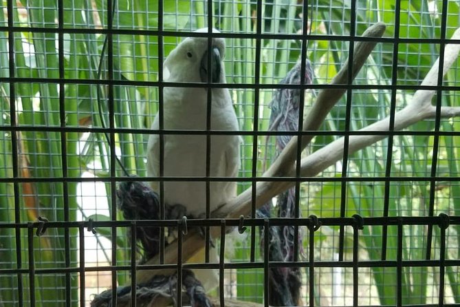 Rockland Bird Sanctuary Private Tour - Price and value check: what $120 buys in real terms