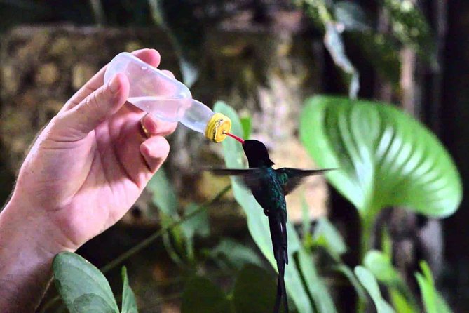 Rockland Bird Sanctuary Private Tour - Comfort, transport, and the small issues worth knowing