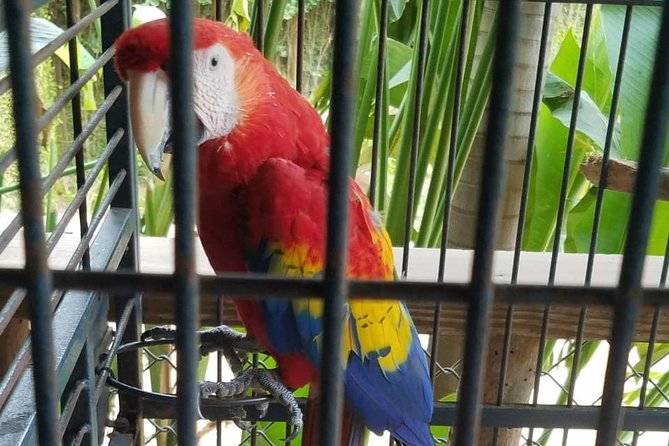 Rockland Bird Sanctuary Private Tour - Timing and weather: the one factor you cannot control