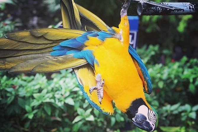 Rockland Bird Sanctuary Tour [Transportation] Hotel Pick-Up - Key things to know before you go