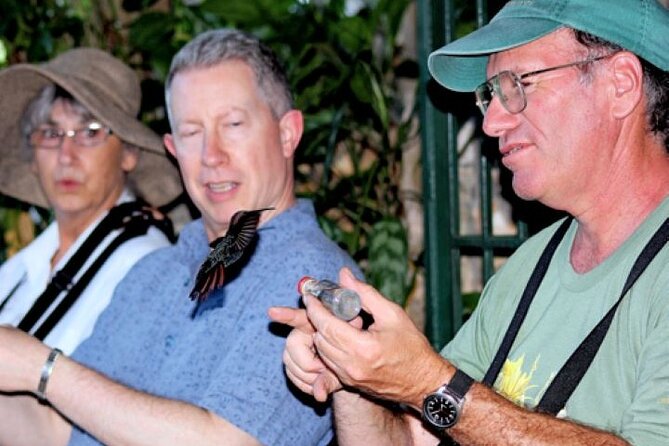 Rocklands Bird Sanctuary and Montego Bay Highlights Tour from Falmouth - Key highlights worth showing up for