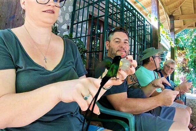 Rocklands Bird Sanctuary and Montego Bay Highlights Tour from Falmouth - Sam Sharpe Square: a fast downtown photo stop with real context