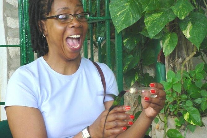 Rocklands Bird Sanctuary and Montego Bay Highlights Tour from Falmouth - Hip Strip shopping: souvenirs with a built-in time limit