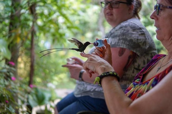 Rocklands Bird Sanctuary & City Highlights plus Shopping from Montego Bay - Hip Strip first: how to shop with a plan (and not waste time)