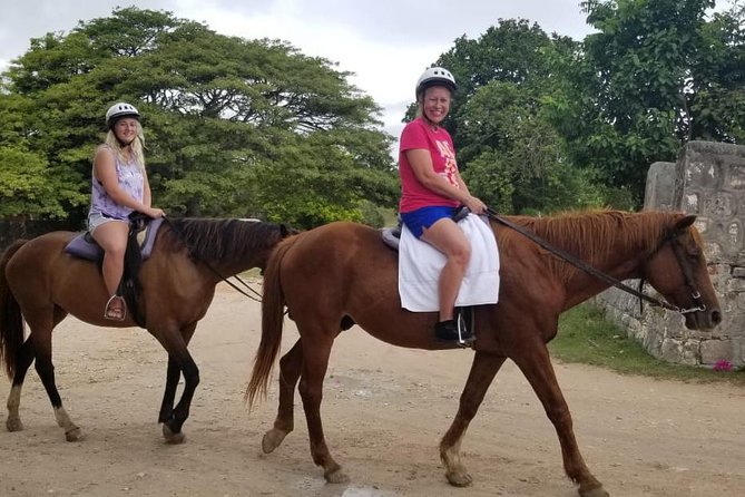 Sand n Saddle Horseback Ride & Swim Tour from Falmouth - Key Highlights You’ll Feel Right Away
