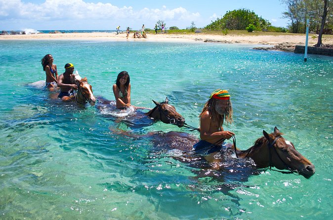 Sand n Saddle Horseback Ride & Swim Tour from Falmouth - Who This Tour Fits Best (And Who Should Reconsider)