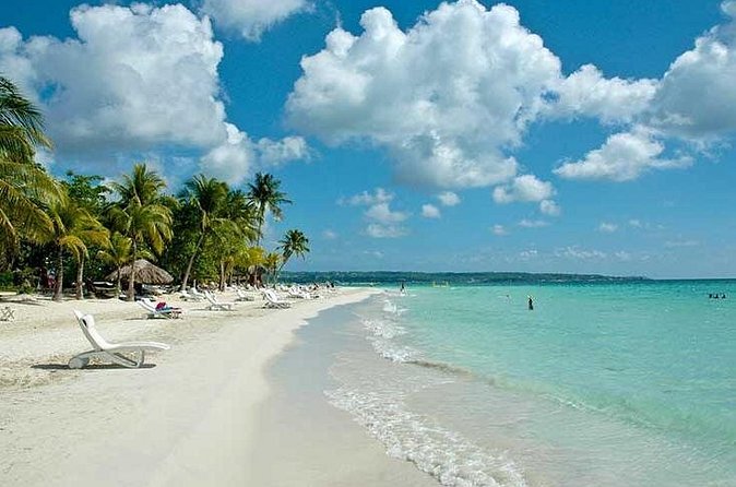 Seven Mile Beach and Rick’s Cafe Private Tour - The drivers are the secret ingredient, and it shows in reviews