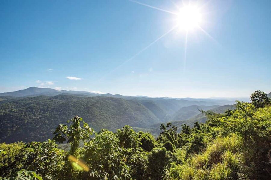Shared/Private Full Day Blue Mountains Tour -Top Attractions - Emancipation Park and the Bob Marley Museum, Music Stops With Real Atmosphere