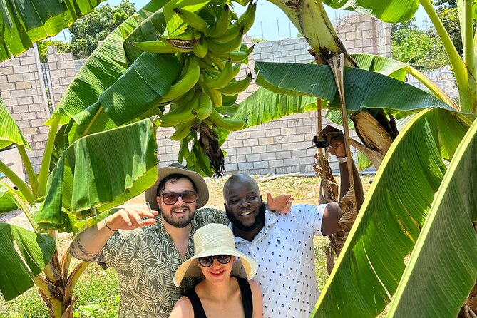 Sightseeing and Shopping Tour in Montego bay - Lunch at Authentic Jamaican Cuisines (What You Should Know)